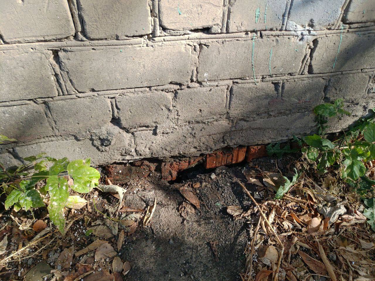 Саратовцы жалуются на тараканов, мокриц и черный грибок в жилом доме